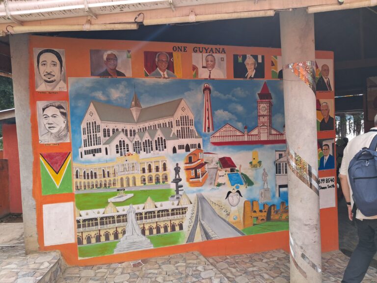 Focus on Guyana: The Harsh Reality of a Social Worker in the Beautiful Country of Guyana.