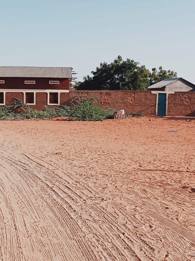 Focus on Somalia- Bullets like birds  By Abdihamid Mohamed Alio